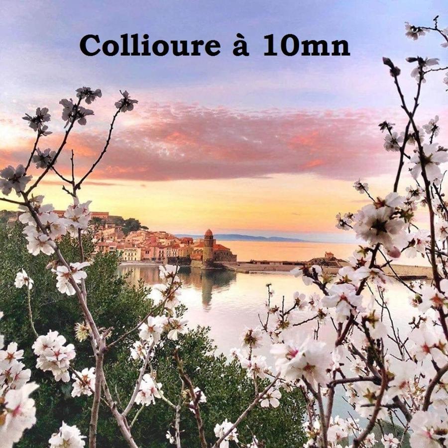 Maison Small Luxury Argeles-sur-Mer Luaran gambar